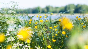 Sormi pulssilla – työntekijäkokemus ja asiakastyytyväisyys lyövät kättä