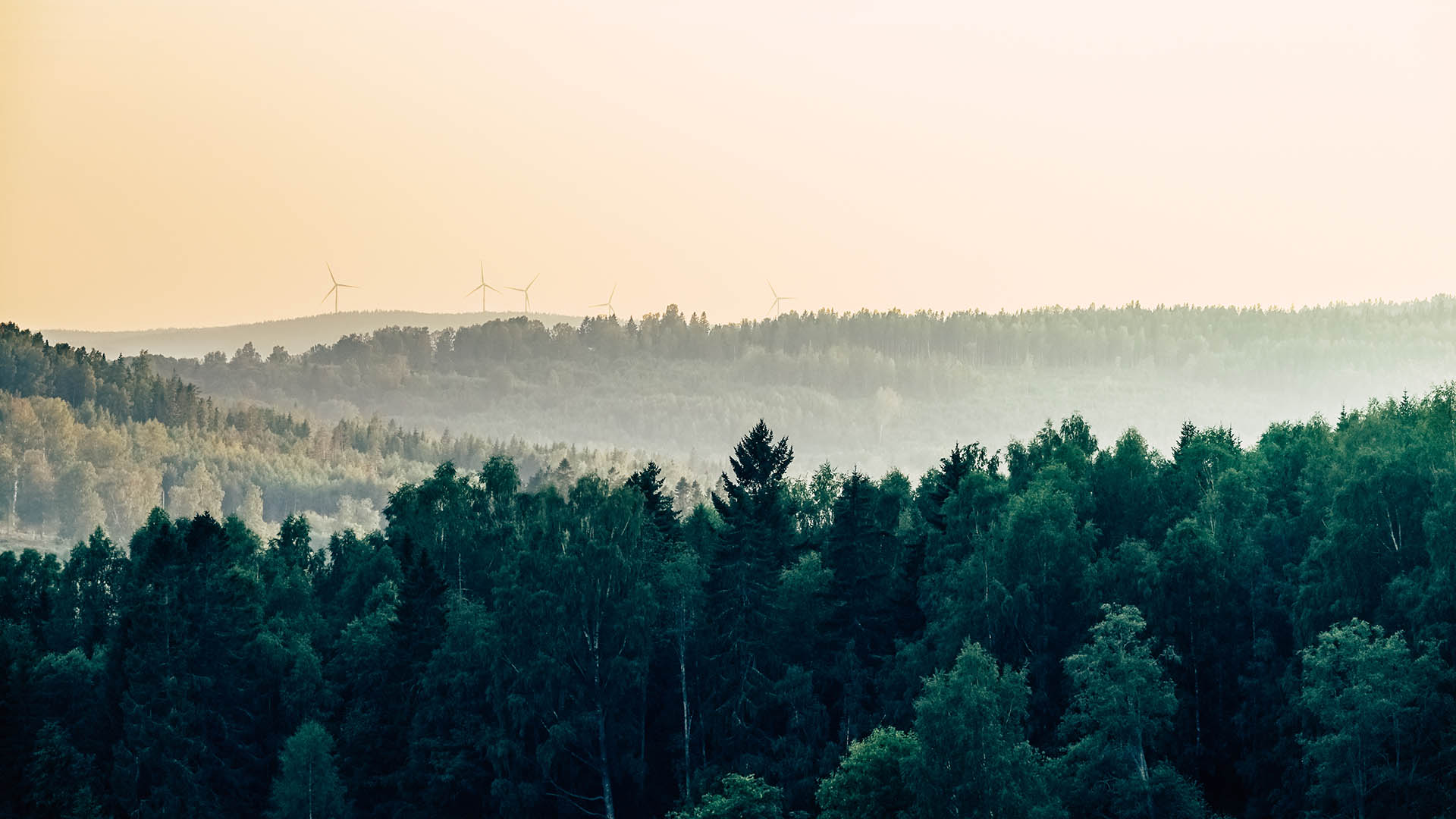 Platform for Calculating Carbon Footprint, Emission Reduction, and Communication